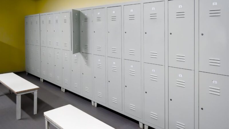 Descubra como Escolher Armários de Vestiário em Brasília: Proteja seu Investimento Contra o Clima Seco!